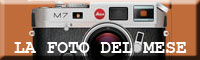 LA FOTO DEL MESE